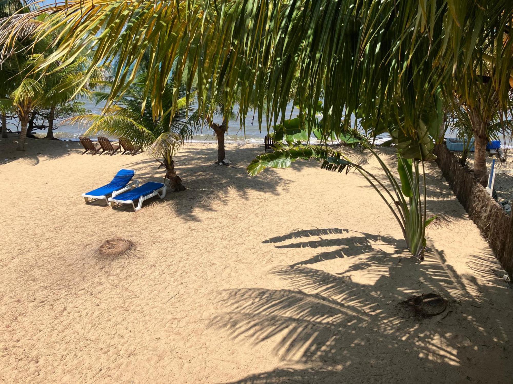 Lost Reef Resort Riversdale المظهر الخارجي الصورة