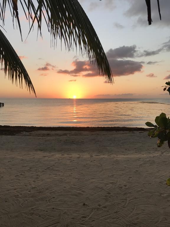 Lost Reef Resort Riversdale المظهر الخارجي الصورة
