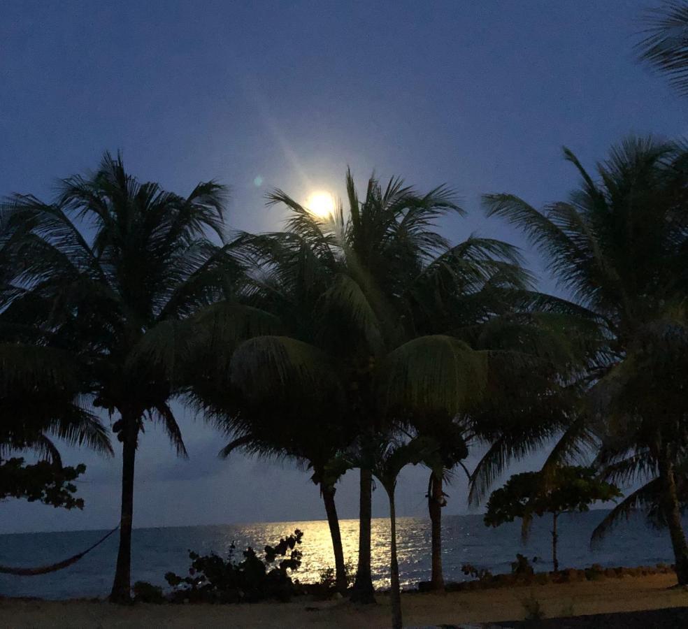 Lost Reef Resort Riversdale المظهر الخارجي الصورة